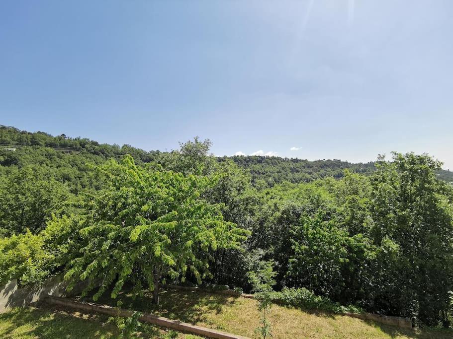 Appartement 2 Ou 4 Personnes. Venaco Venaco  Luaran gambar
